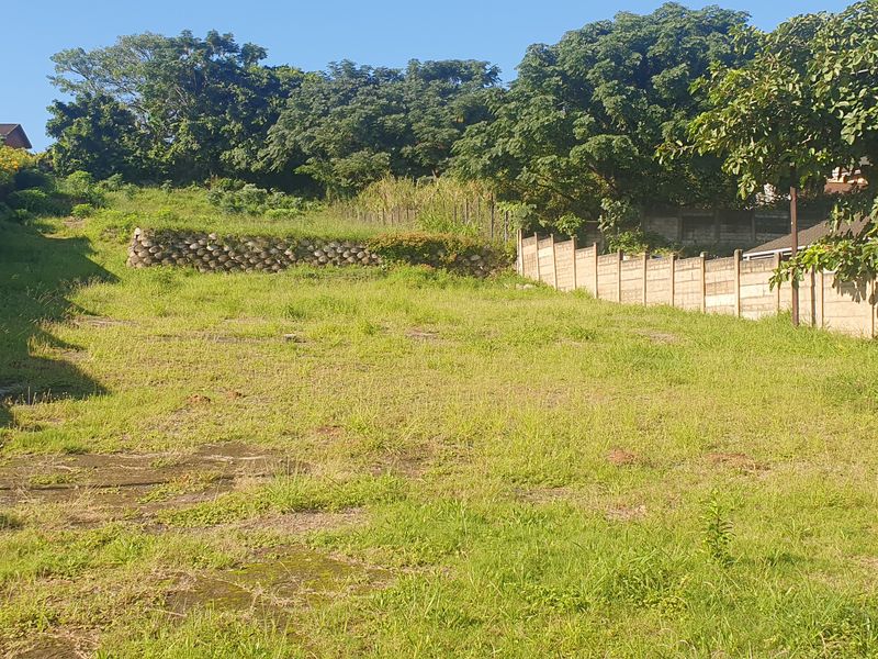 Bluff Development Opportunity - Photo 8