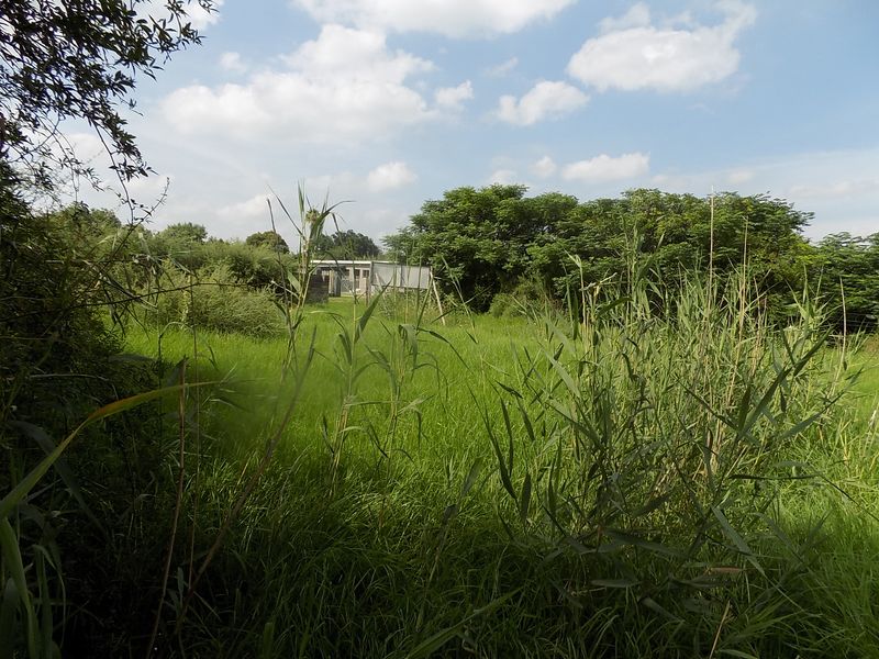 LAND FOR SALE IN VENTERSDORP - Photo 7