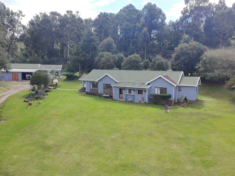 Spacious Family Home with Income Potential - Photo 4