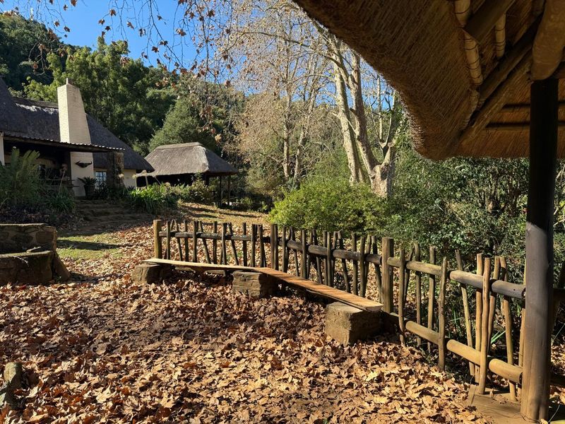 Midlands Lifestyle Farm with Forest, Views & Spring Water - Photo 5