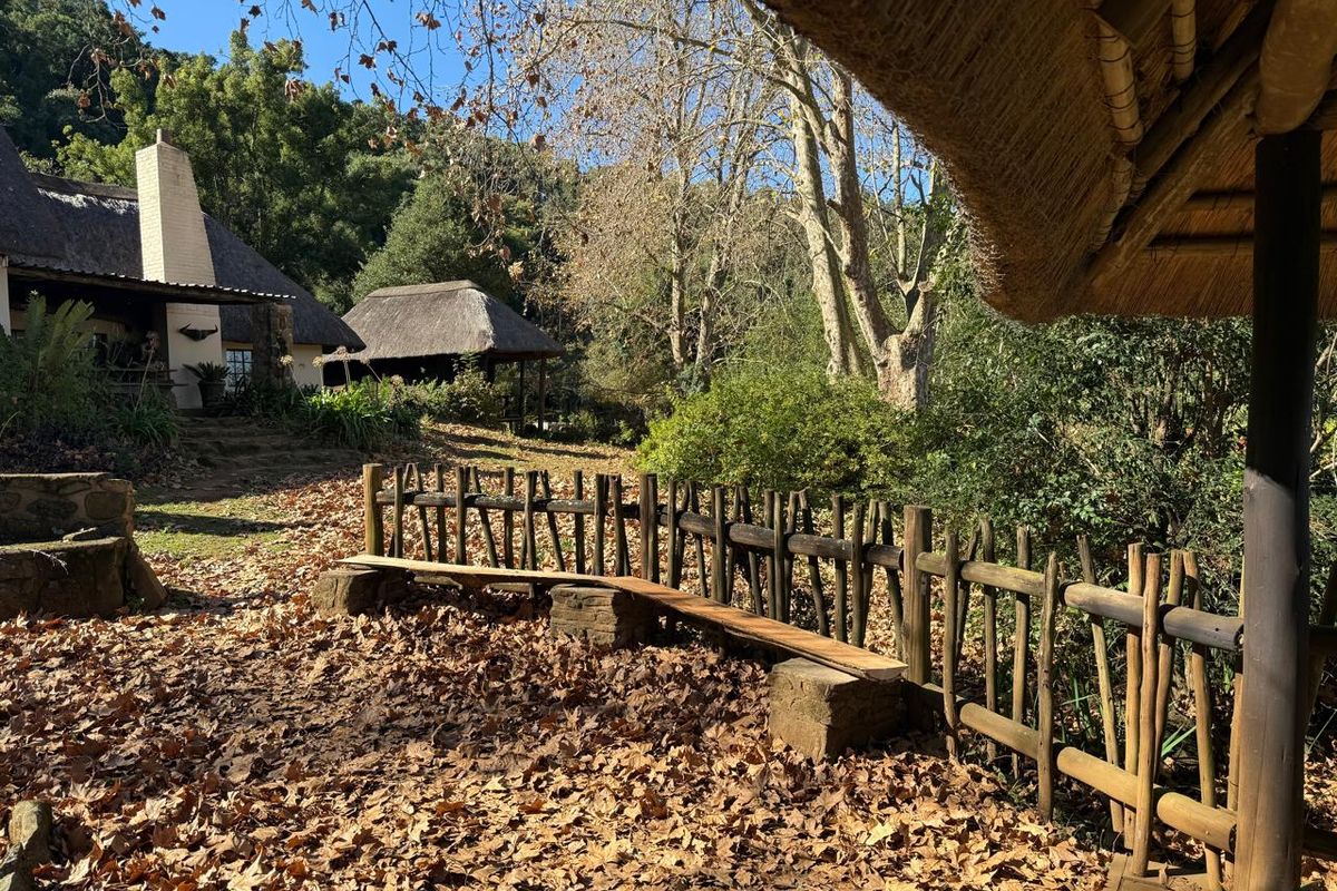 Midlands Lifestyle Farm with Forest, Views & Spring Water - Photo 5