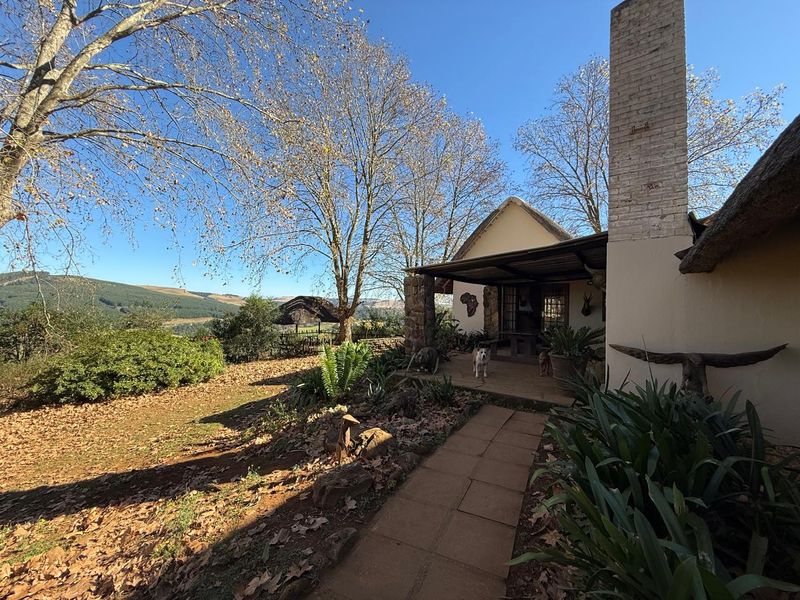 Midlands Lifestyle Farm with Forest, Views & Spring Water - Photo 8