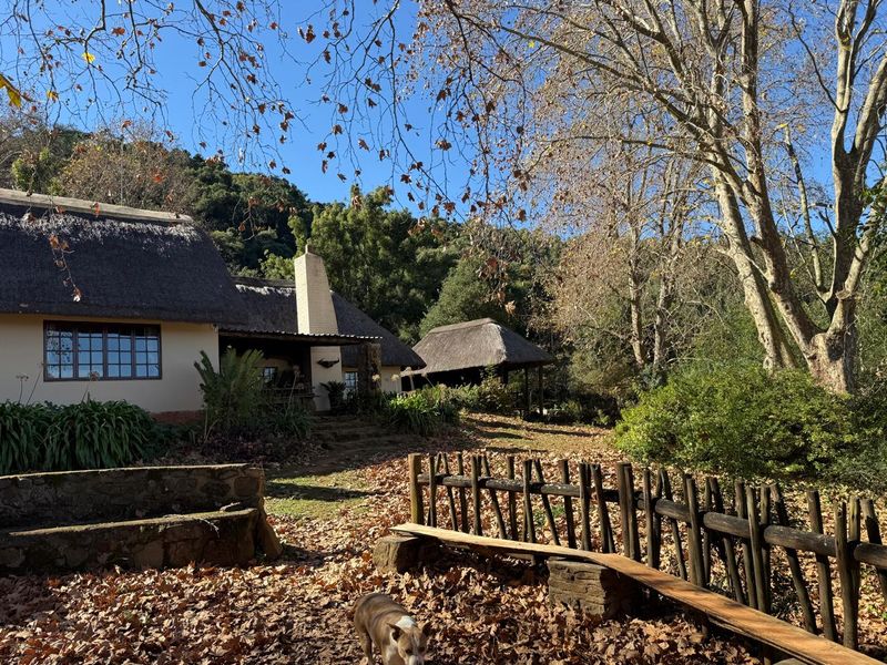 Midlands Lifestyle Farm with Forest, Views & Spring Water - Photo 6