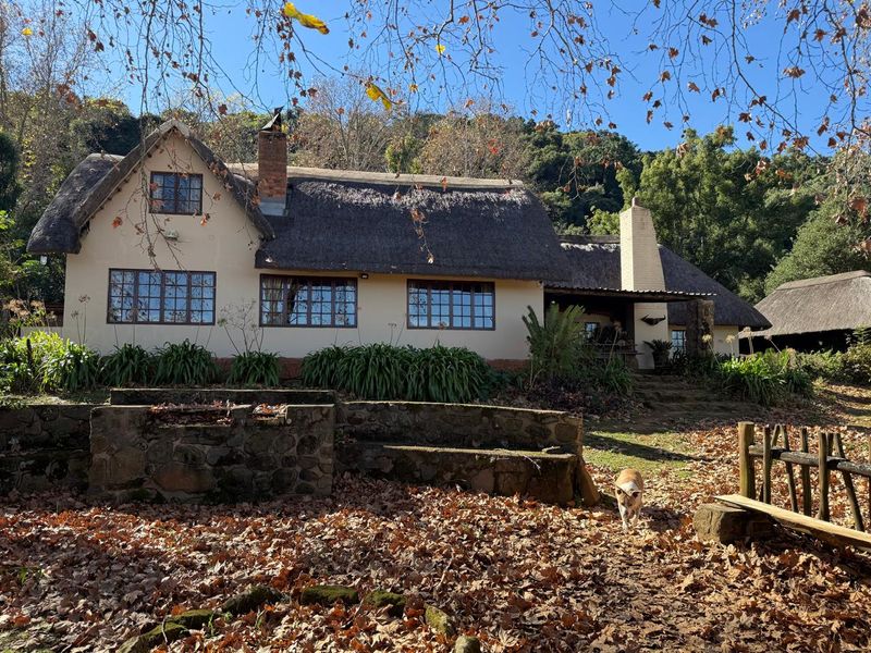 Midlands Lifestyle Farm with Forest, Views & Spring Water - Photo 3