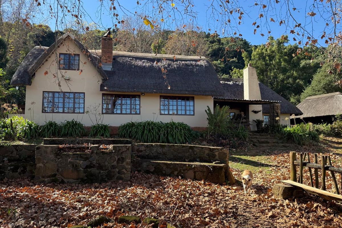 Midlands Lifestyle Farm with Forest, Views & Spring Water - Photo 3