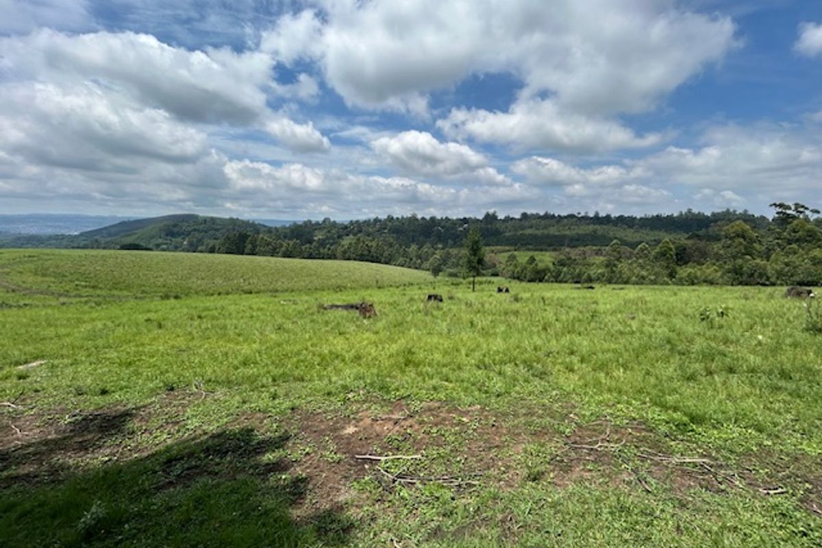 Development Land close to Hilton - Photo 2