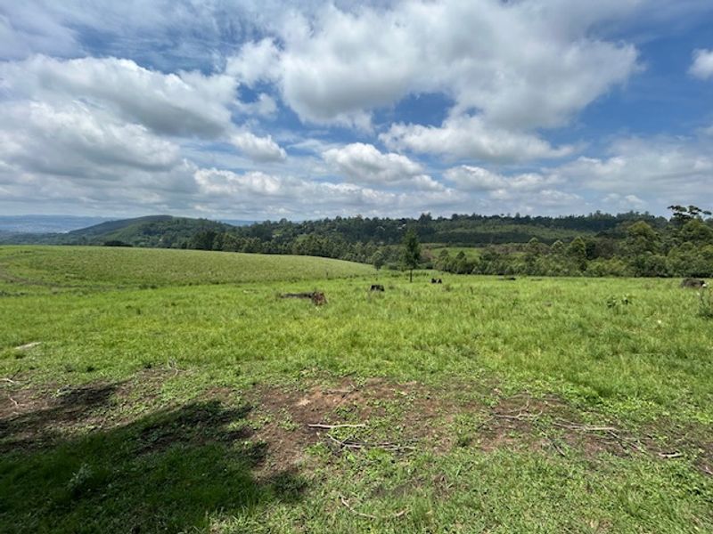 Development Land close to Hilton - Photo 2