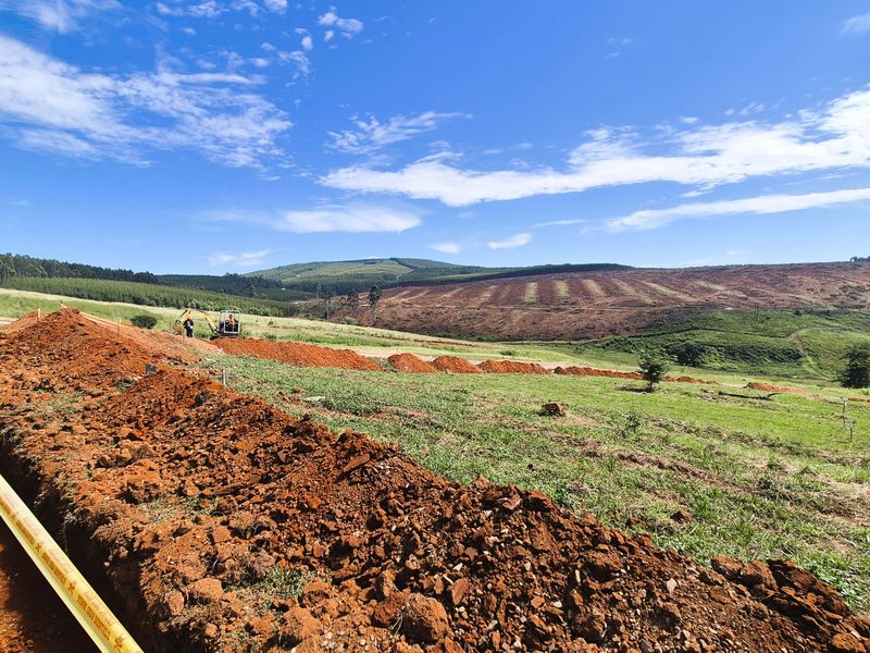 Design Your Dream Home in The Pinelands, Howick - Photo 2