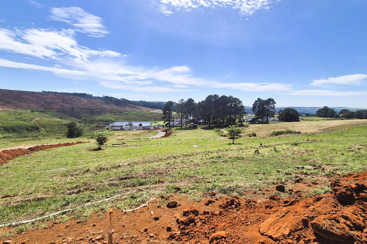 Design Your Dream Home in The Pinelands, Howick - Photo 3