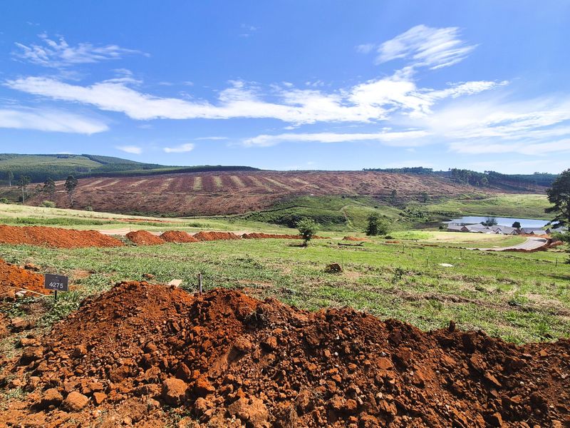 Design Your Dream Home in The Pinelands, Howick - Photo 4