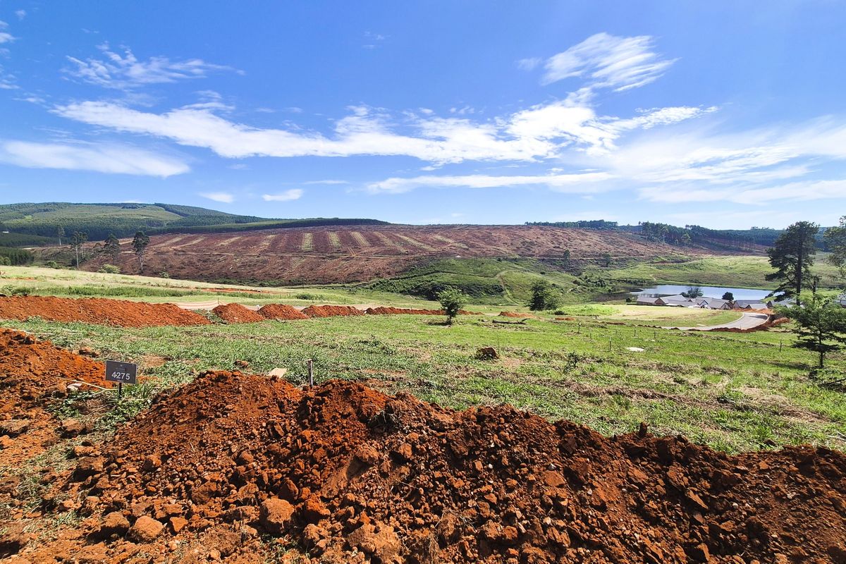 Design Your Dream Home in The Pinelands, Howick - Photo 4