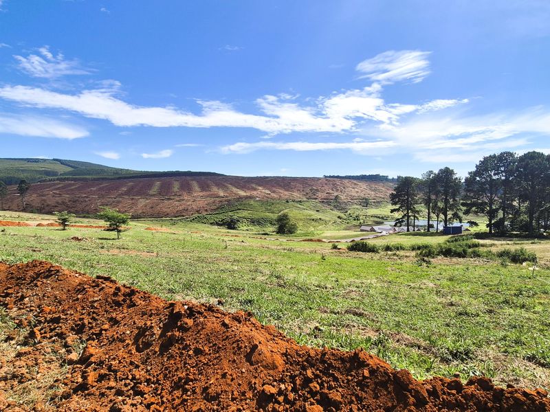 Design Your Dream Home in The Pinelands, Howick - Photo 3