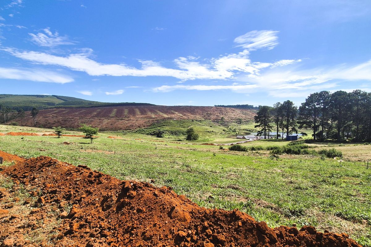 Design Your Dream Home in The Pinelands, Howick - Photo 3