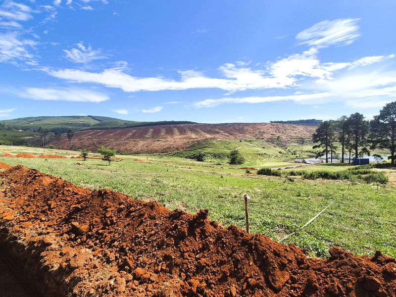 Design Your Dream Home in The Pinelands, Howick - Photo 2