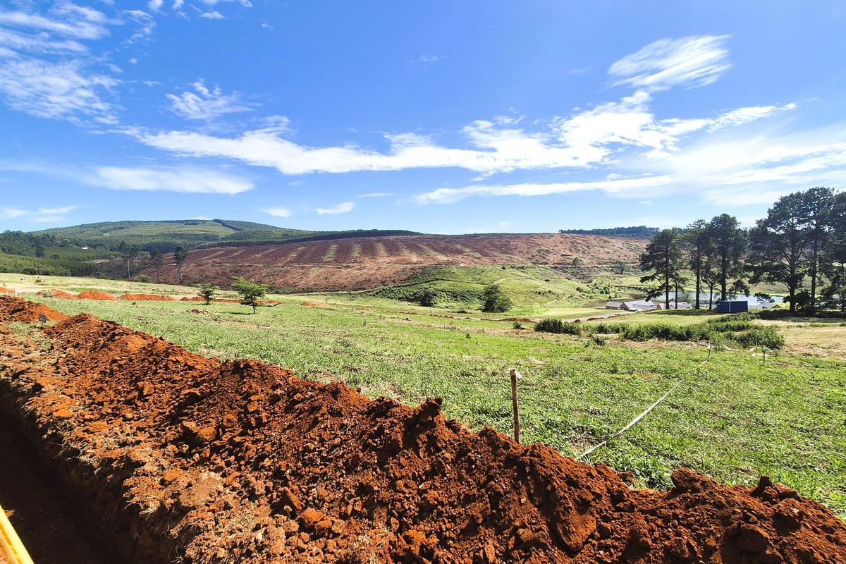 Design Your Dream Home in The Pinelands, Howick - Photo 2