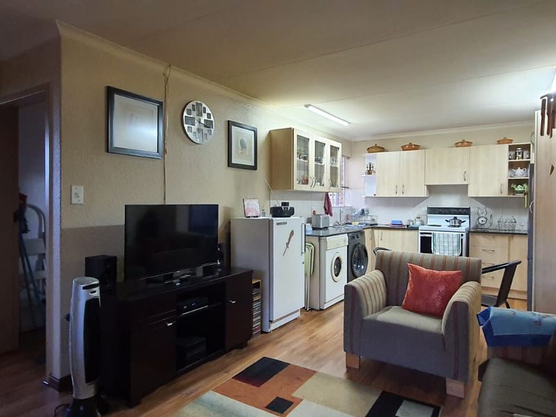 Open-plan living area featuring a functional kitchen with light wood cabinetry, laminate flooring, and direct access to an adjacent bathroom.