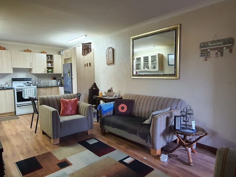 Open plan living area featuring a functional kitchen with light wood cabinetry and laminate flooring, seamlessly connected to the lounge space.