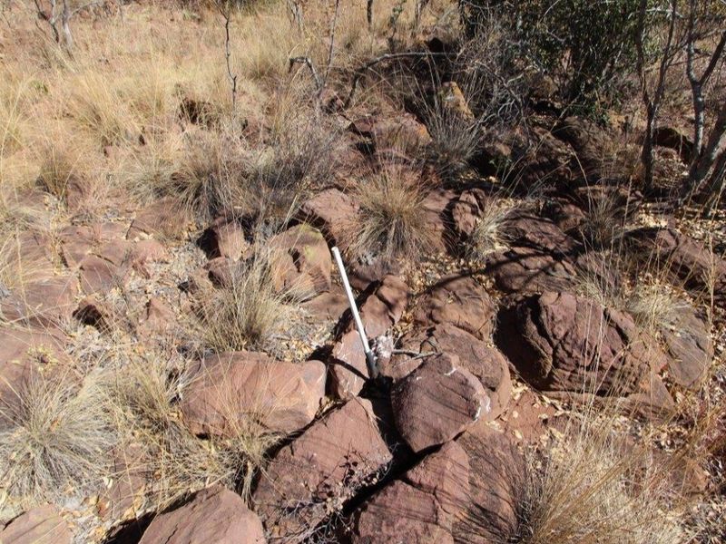 Beautiful stand in Leopard Rock Estate! - Photo 8