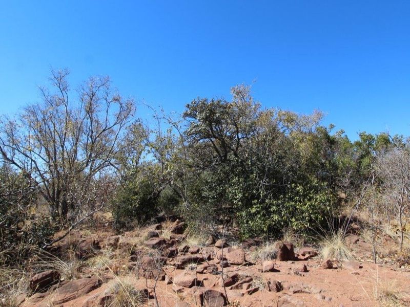 Beautiful stand in Leopard Rock Estate! - Photo 2