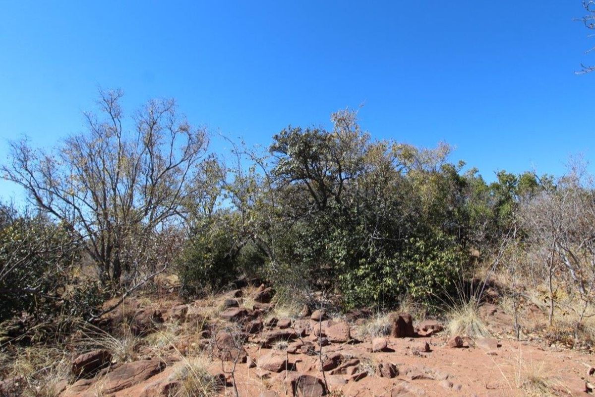 Beautiful stand in Leopard Rock Estate! - Photo 2