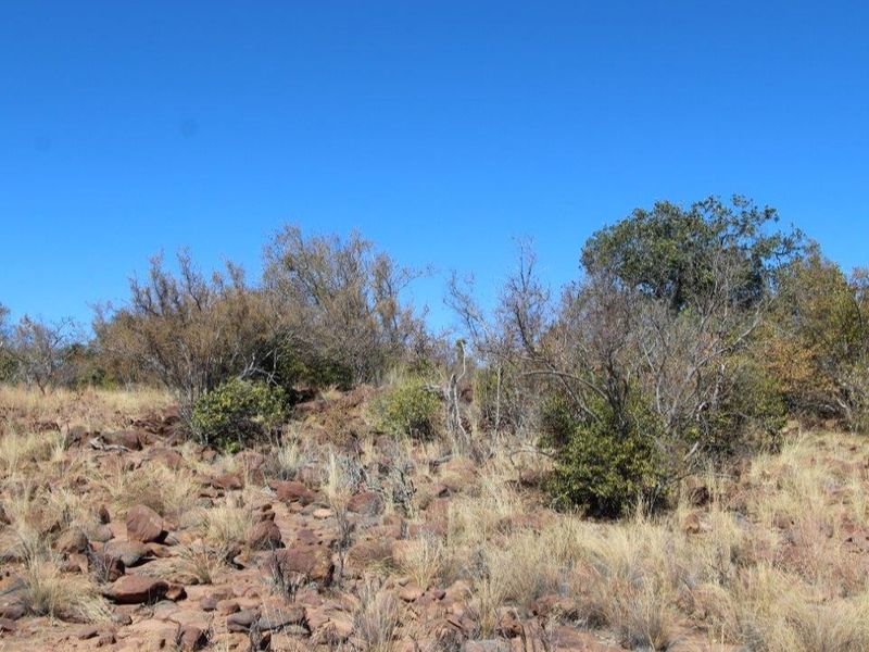 Beautiful stand in Leopard Rock Estate! - Photo 5