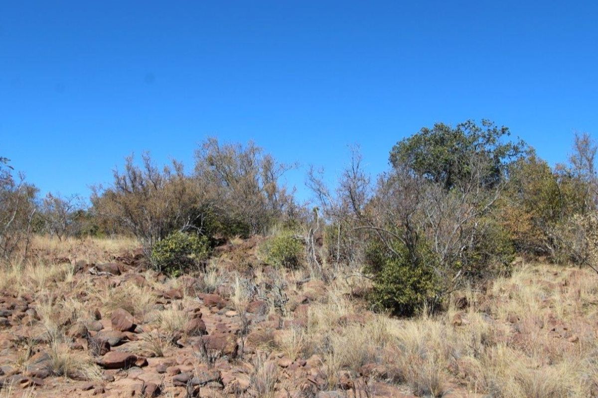 Beautiful stand in Leopard Rock Estate! - Photo 5