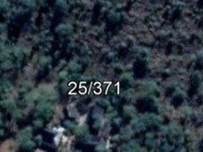 Beautiful bushveld stand! - Photo 9