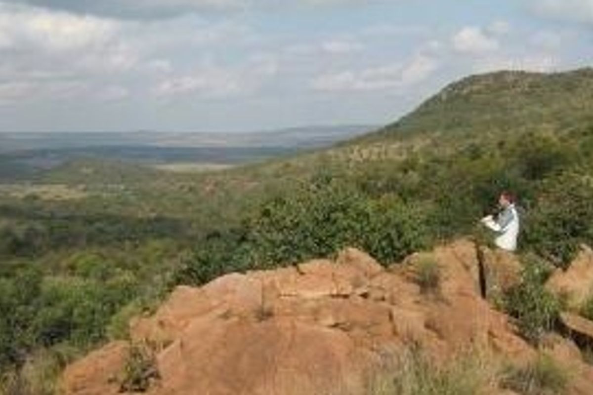 Beautiful bushveld stand! - Photo 2