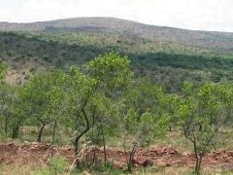 A scenic view of the natural landscape featuring rolling hills and native vegetation on the vacant residential property.