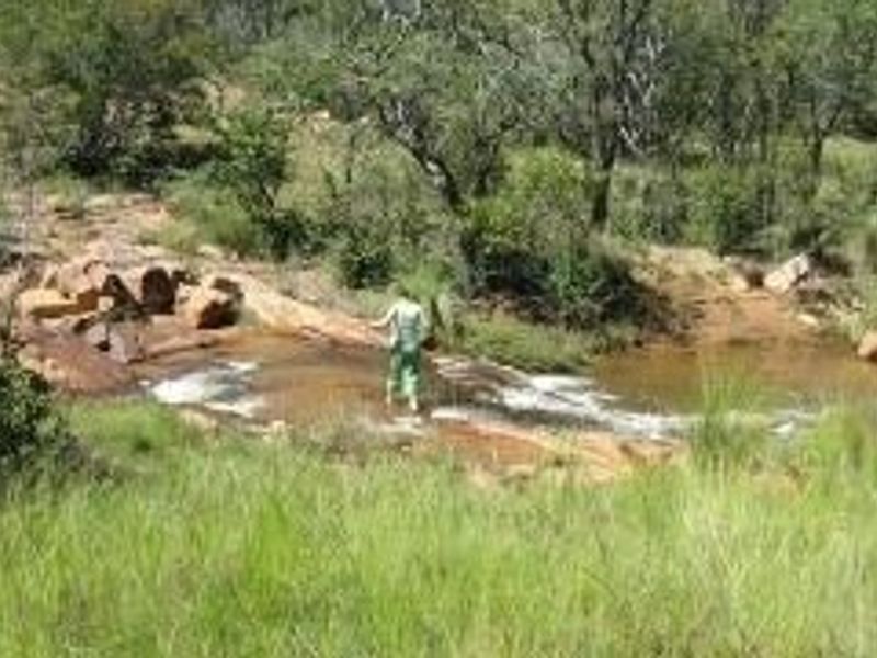 A scenic view of a natural stream flowing through a rocky landscape with native vegetation on a vacant residential property.