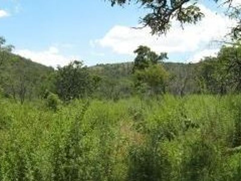 A view of the undeveloped residential land featuring natural vegetation and hilly terrain.