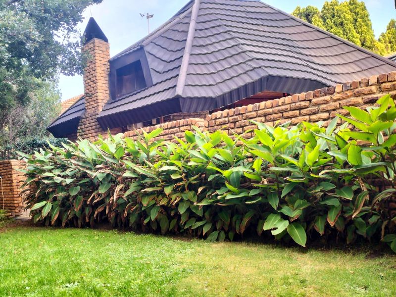 Stunning 4-Bedroom Home with Pool, Patio, and Lovely View - Photo 4