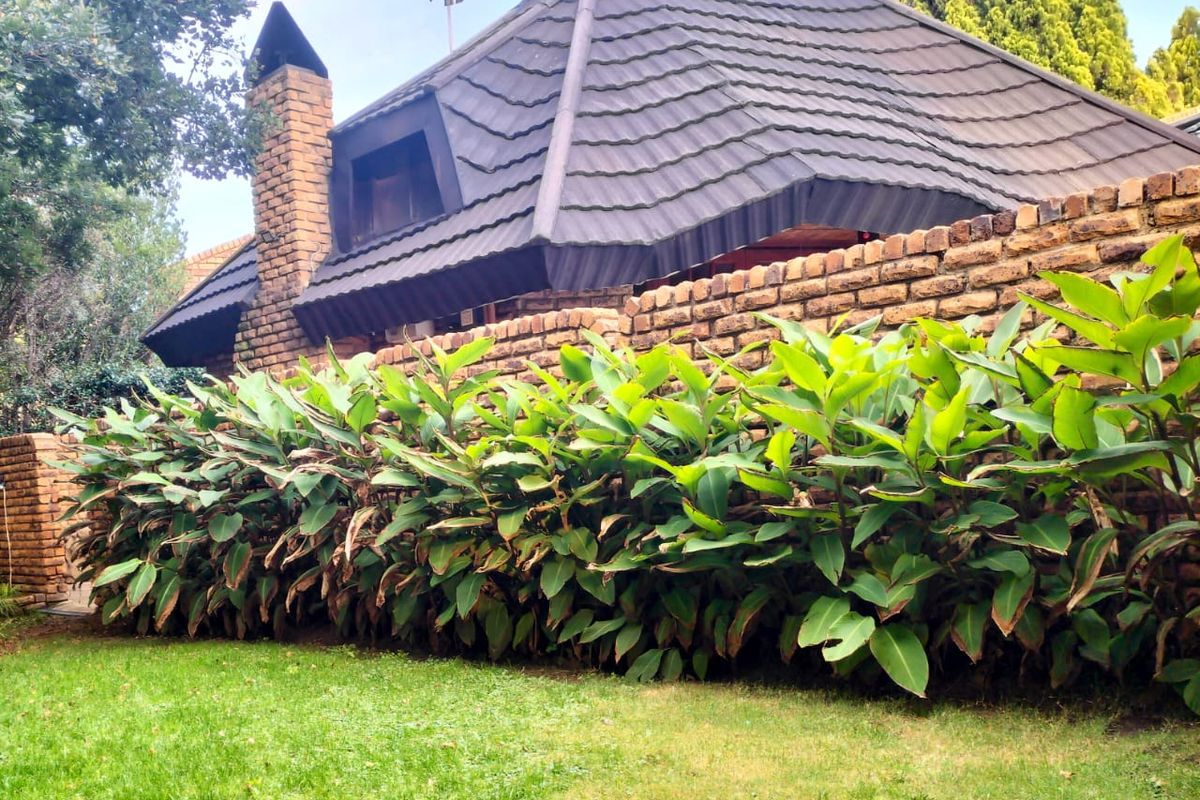 Stunning 4-Bedroom Home with Pool, Patio, and Lovely View - Photo 4