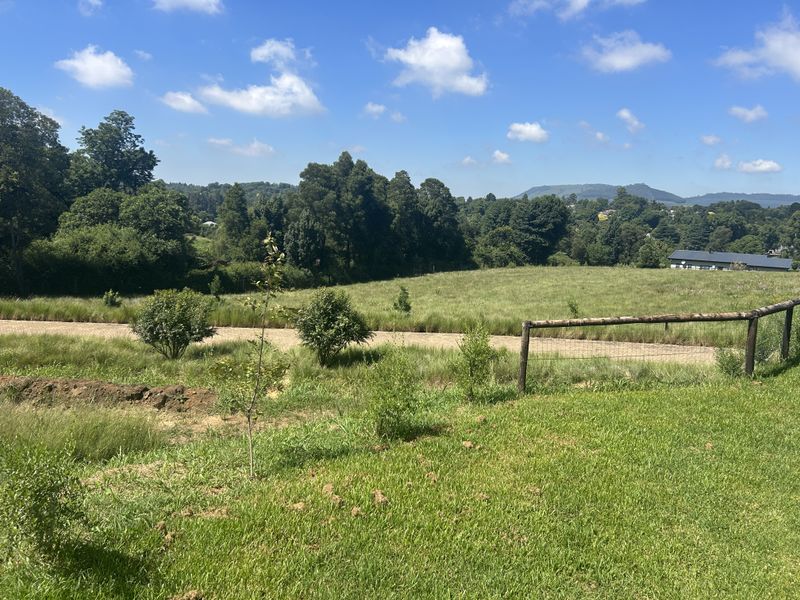 The Auroras at Jacana Estate - Photo 6