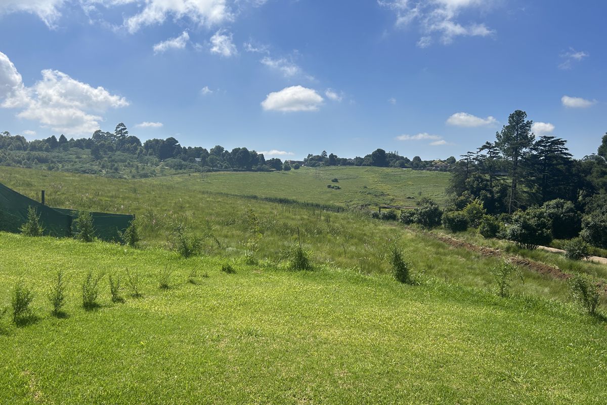 The Auroras at Jacana Estate - Photo 5