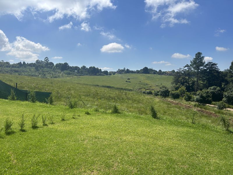 The Auroras at Jacana Estate - Photo 5