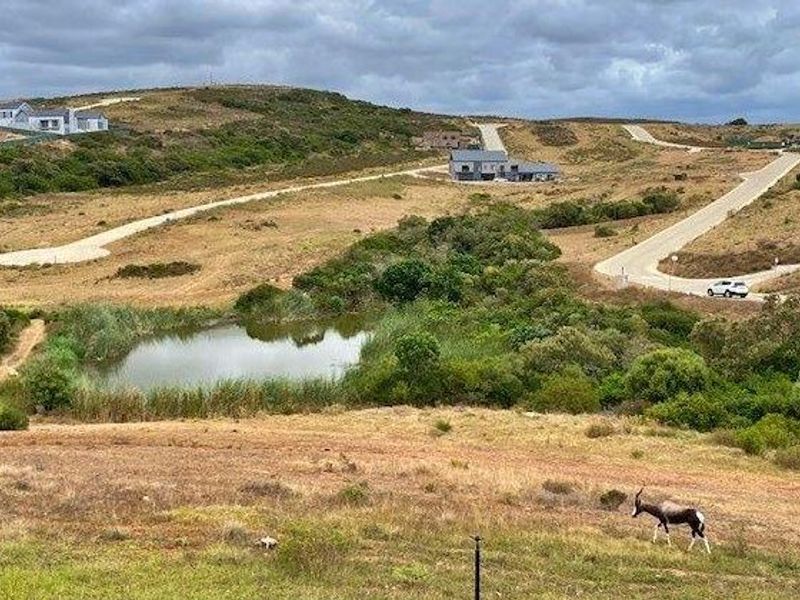 Vacant Land in OuteniquasBosch - Photo 4