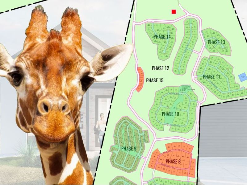 Vacant Land in OuteniquasBosch - Photo 3