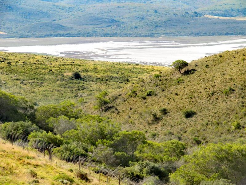 Vacant Land in OuteniquasBosch - Photo 5