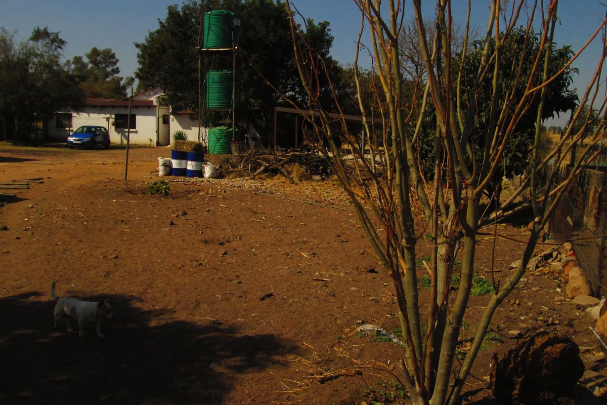 8.5 hectare Smallholding for Sale in Onderstepoort - Photo 4