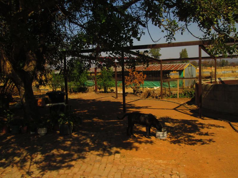 8.5 hectare Smallholding for Sale in Onderstepoort - Photo 10