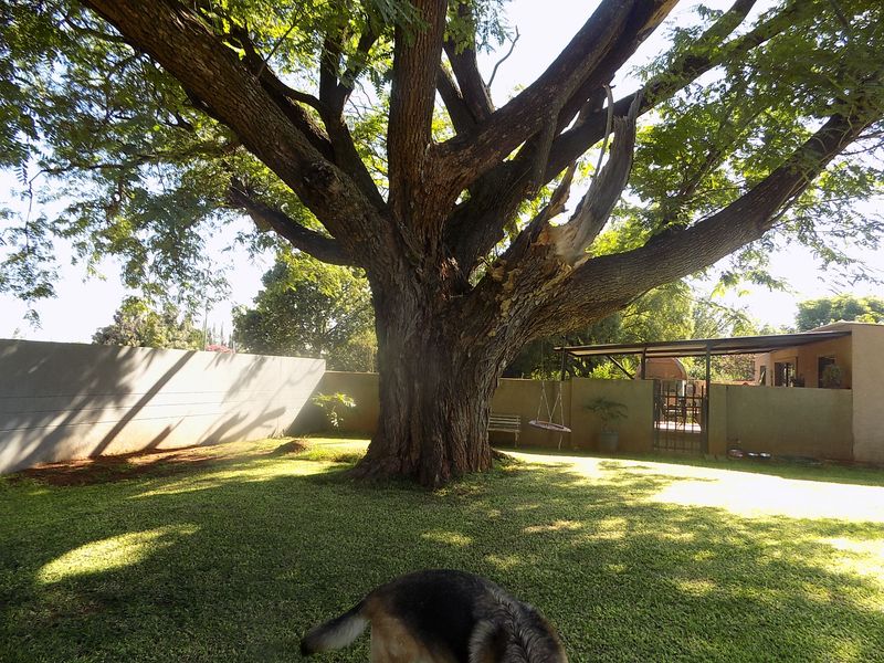 House for sale with 2 flatlets - Photo 5