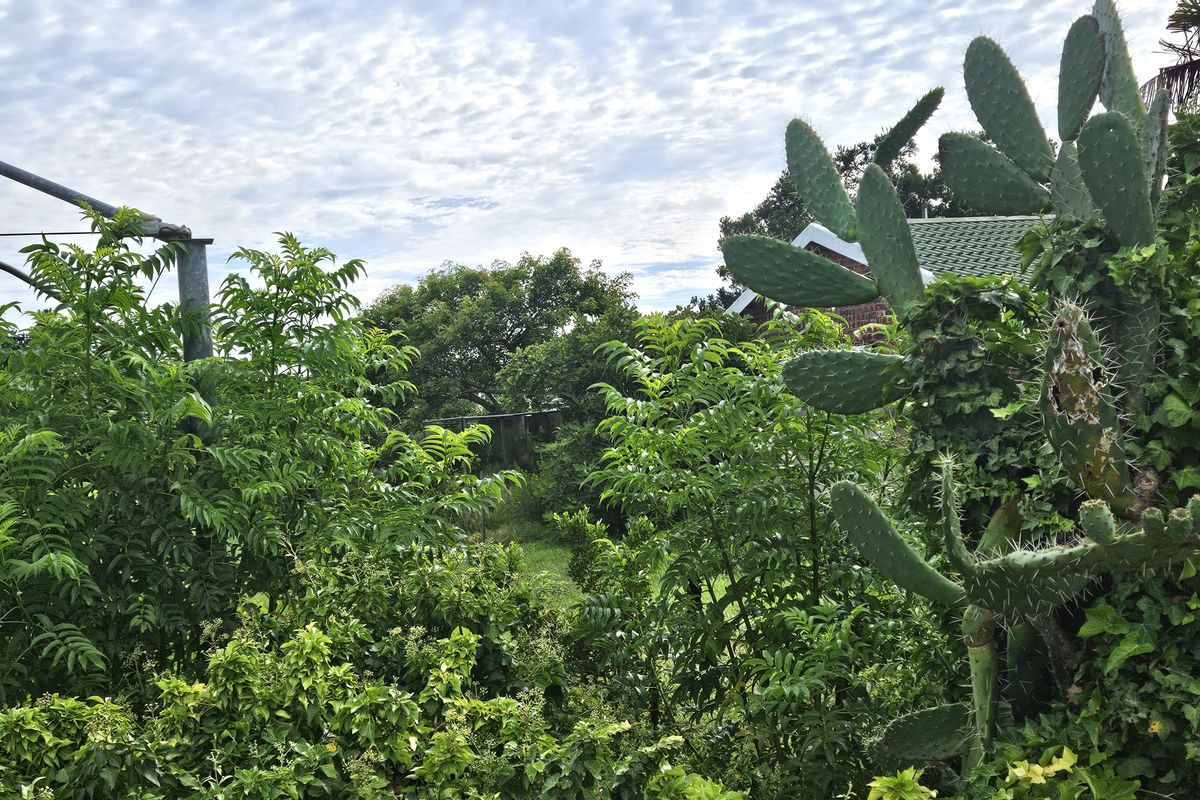 A Beautiful 555m2 Vacant Land - Photo 3