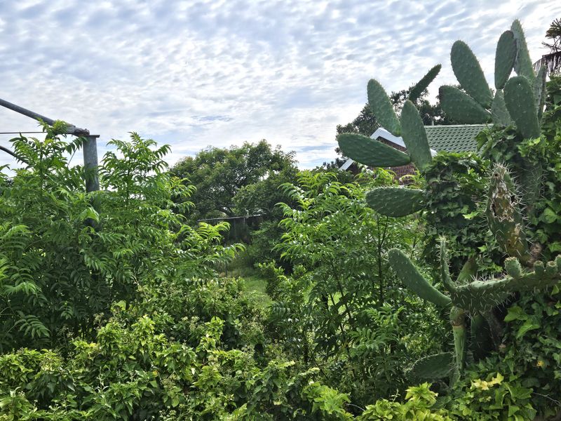 A Beautiful 555m2 Vacant Land - Photo 3