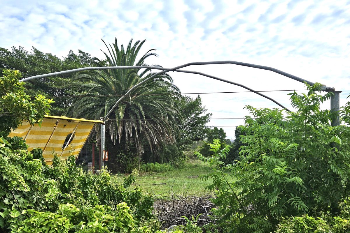 A Beautiful 555m2 Vacant Land - Photo 2