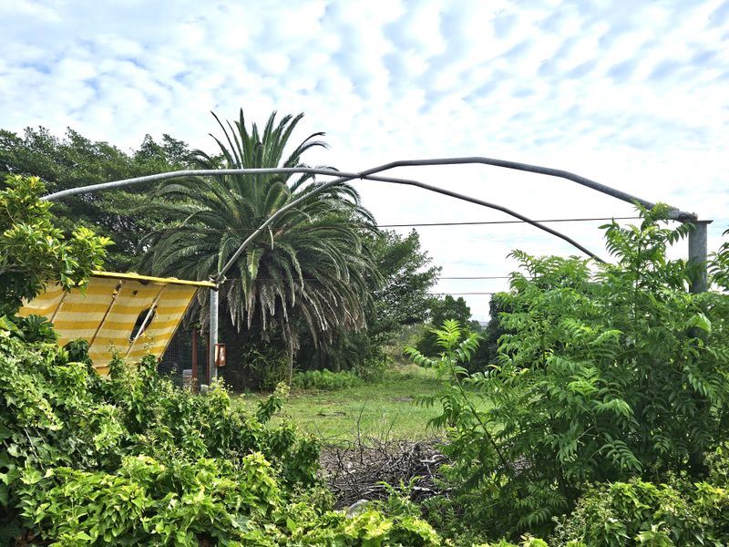 A Beautiful 555m2 Vacant Land - Photo 2