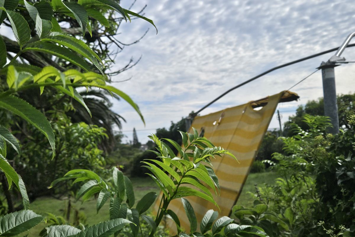 A Beautiful 555m2 Vacant Land - Photo 5