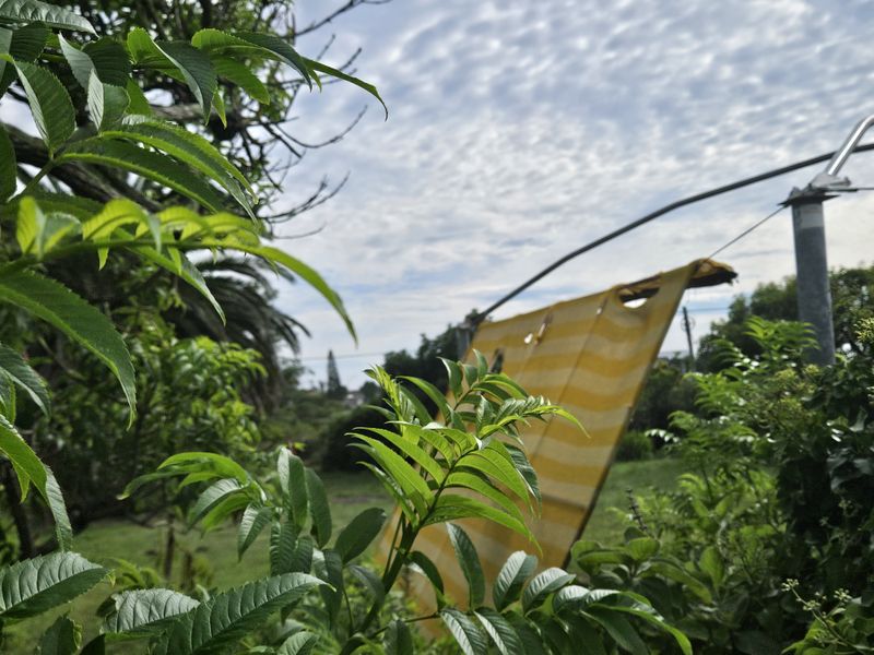 A Beautiful 555m2 Vacant Land - Photo 5
