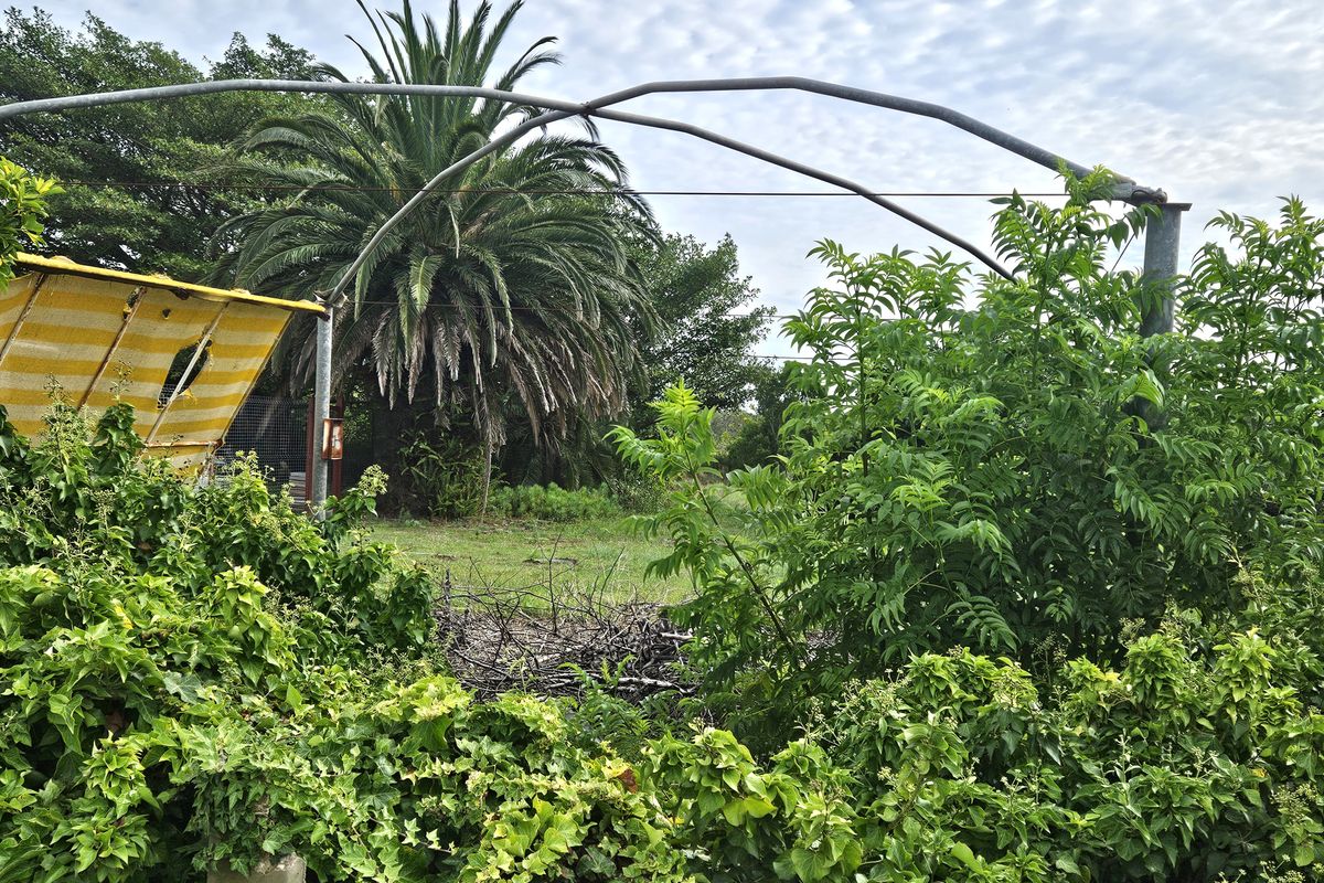 A Beautiful 555m2 Vacant Land - Photo 4