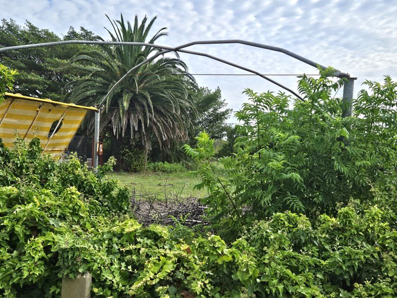 A Beautiful 555m2 Vacant Land - Photo 4